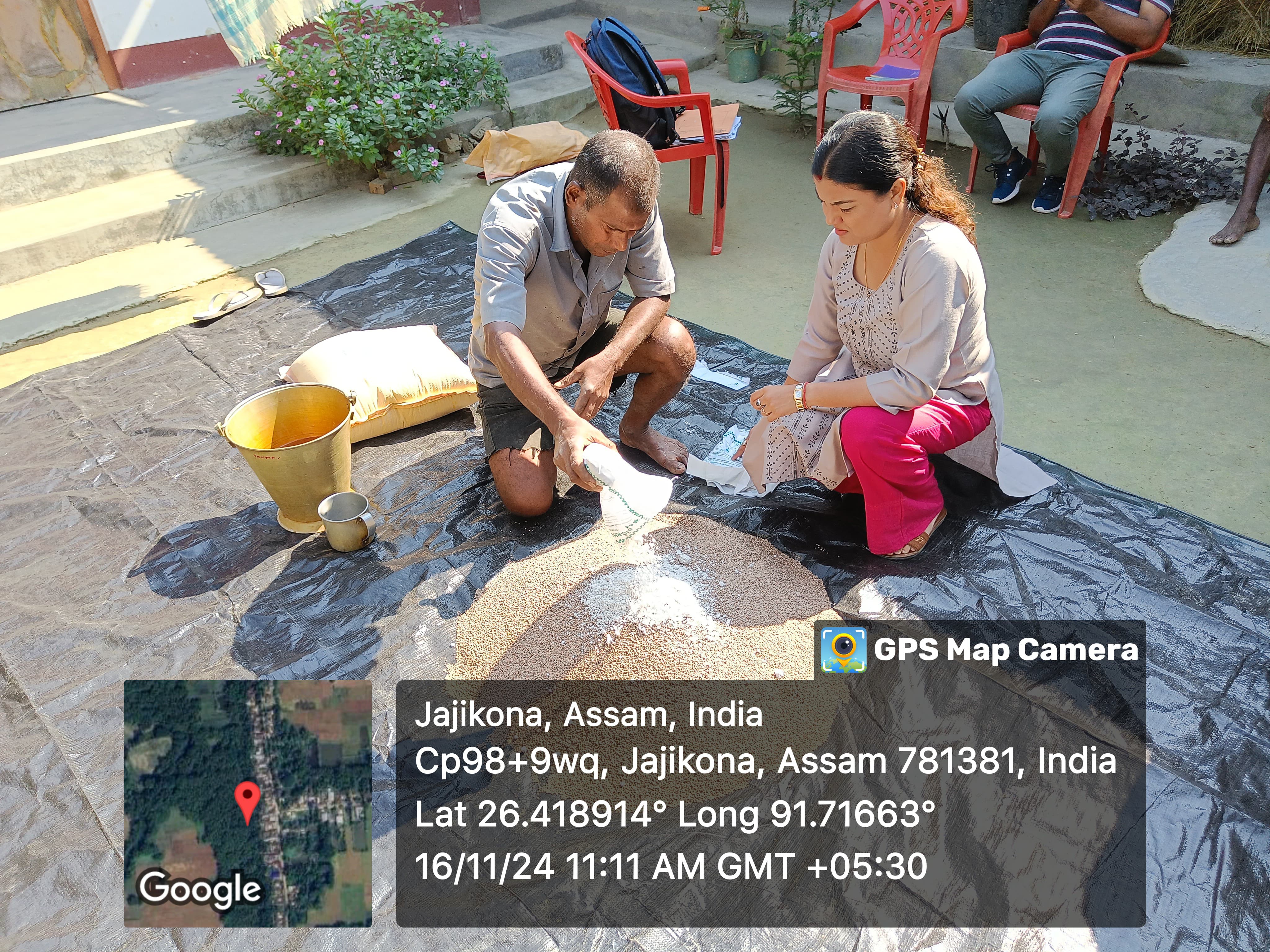 Seed Treatment of Lentil (variety. PL 9) with Rhizobium culture